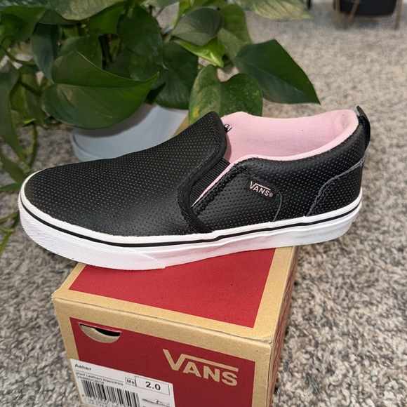 Vans - Picture 9 of 12